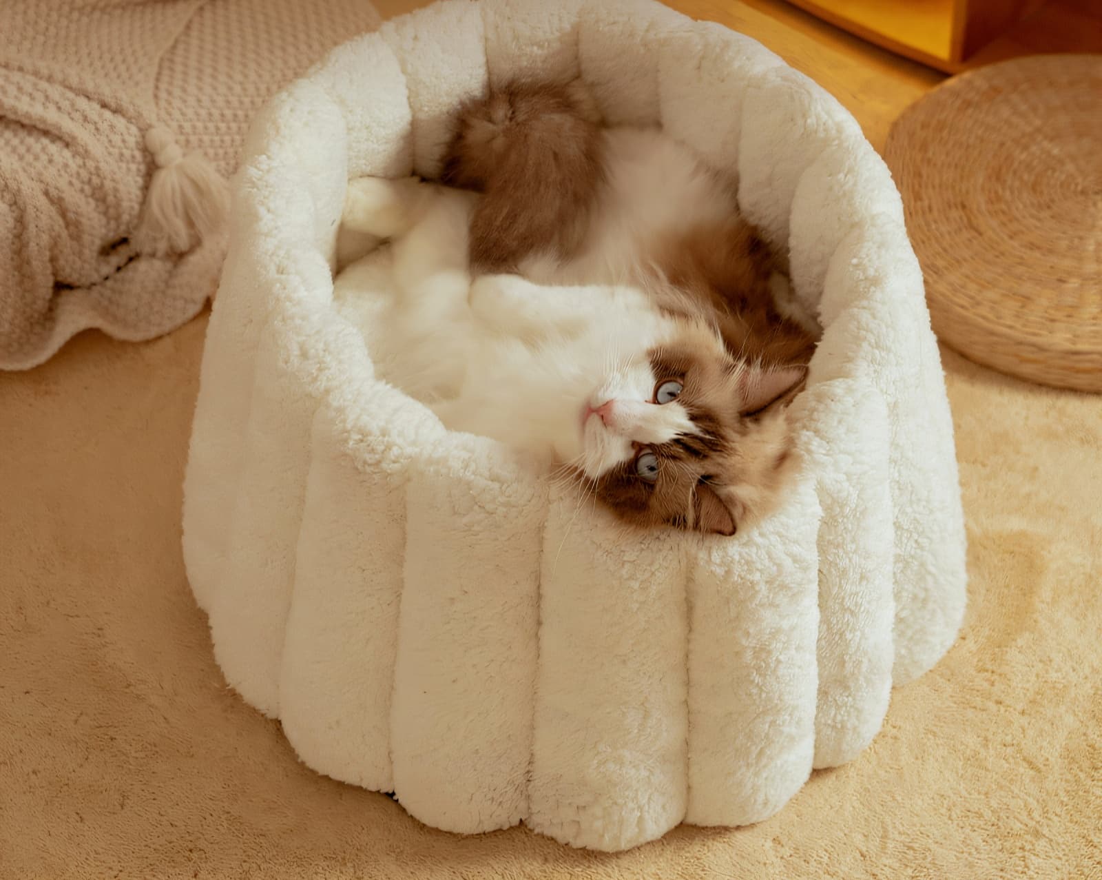 ペットマット 猫用 もこもくぬくぬくまんまるベッド