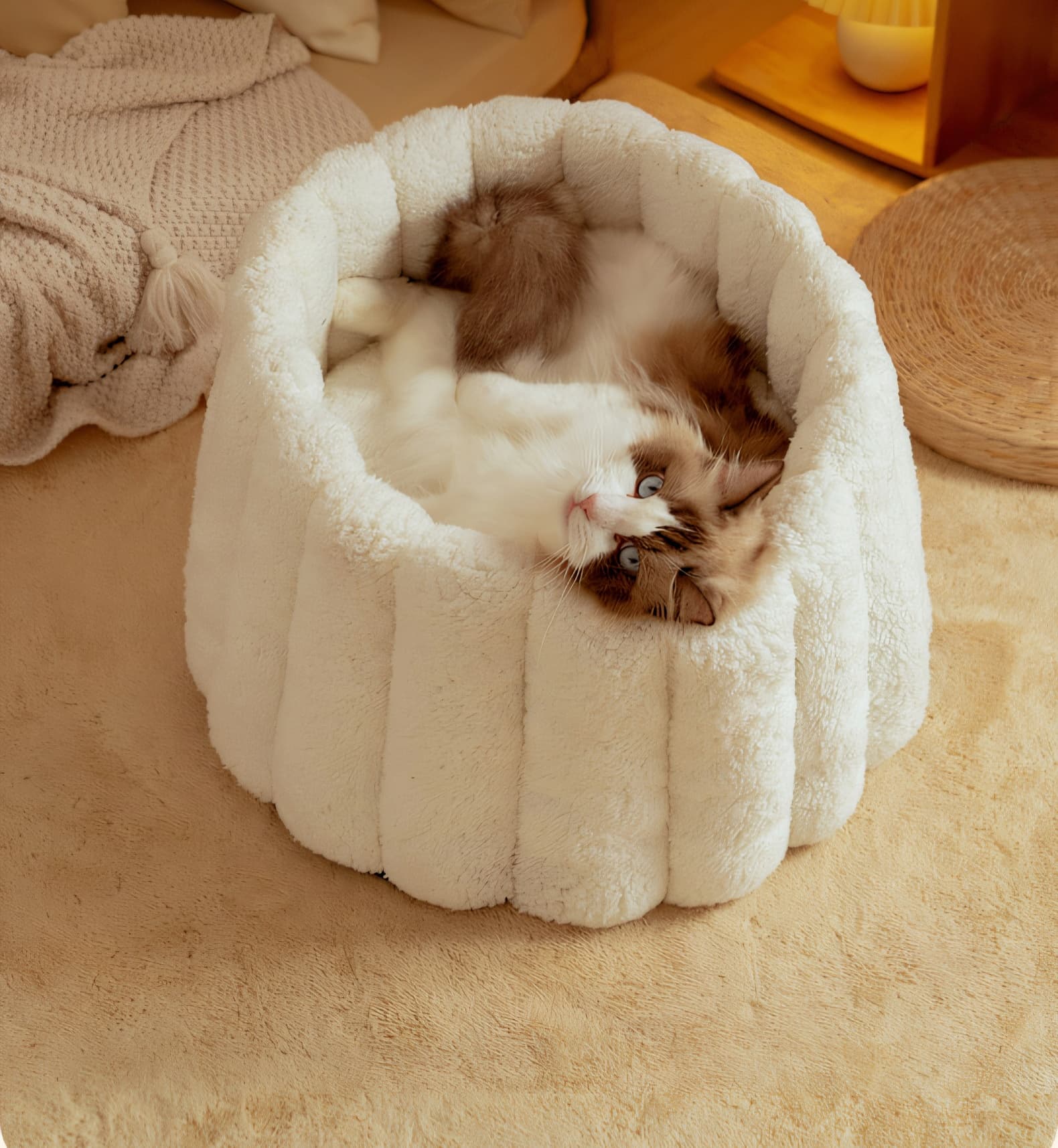 ペットマット 猫用 もこもくぬくぬくまんまるベッド