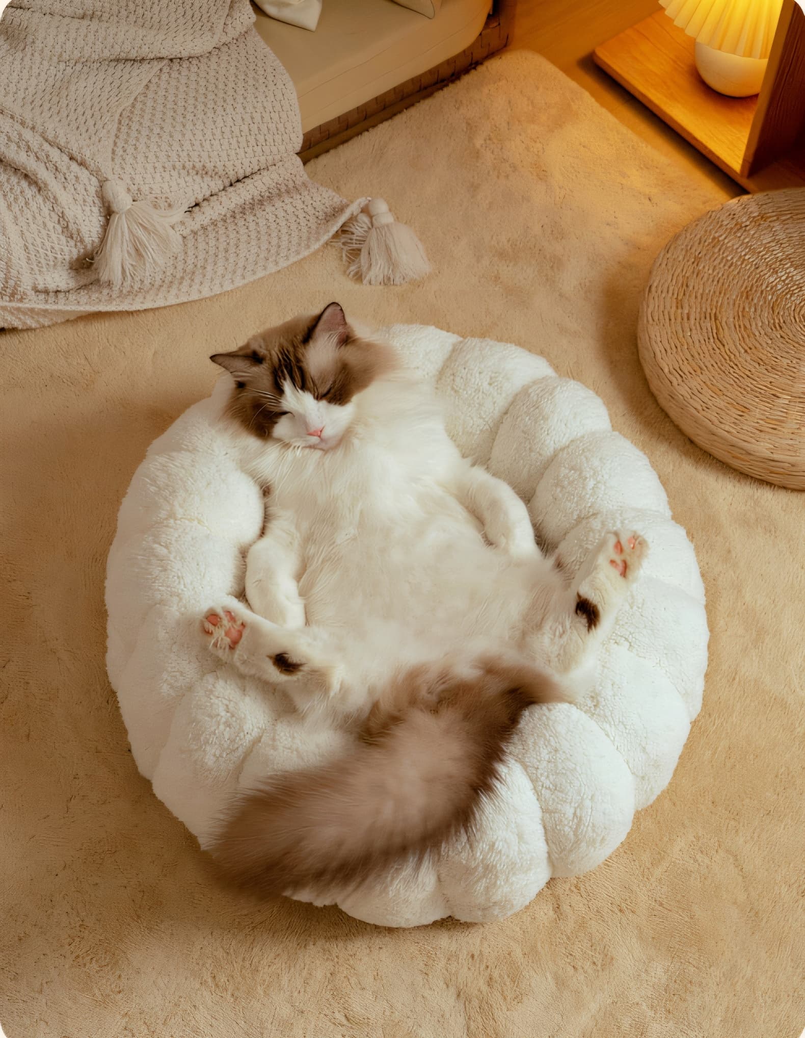 ペットマット 猫用 もこもくぬくぬくまんまるベッド
