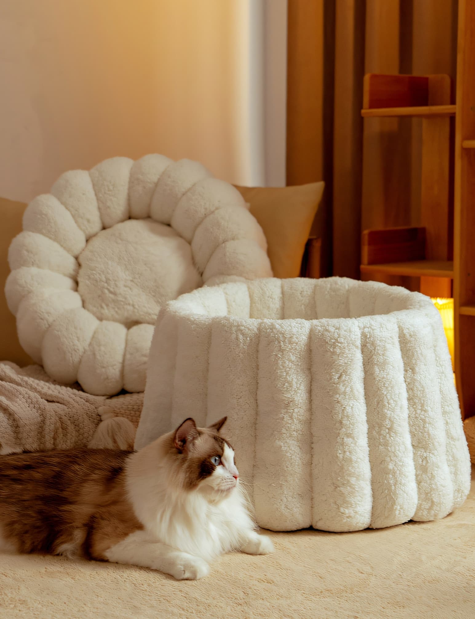 ペットマット 猫用 もこもくぬくぬくまんまるベッド