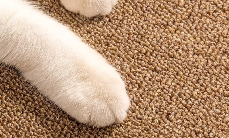 ペットマット 猫用 麻混紡ラグマット 癒やしのやすらぎ