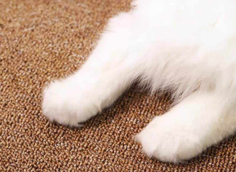 ペットマット 猫用多機能ラグマット