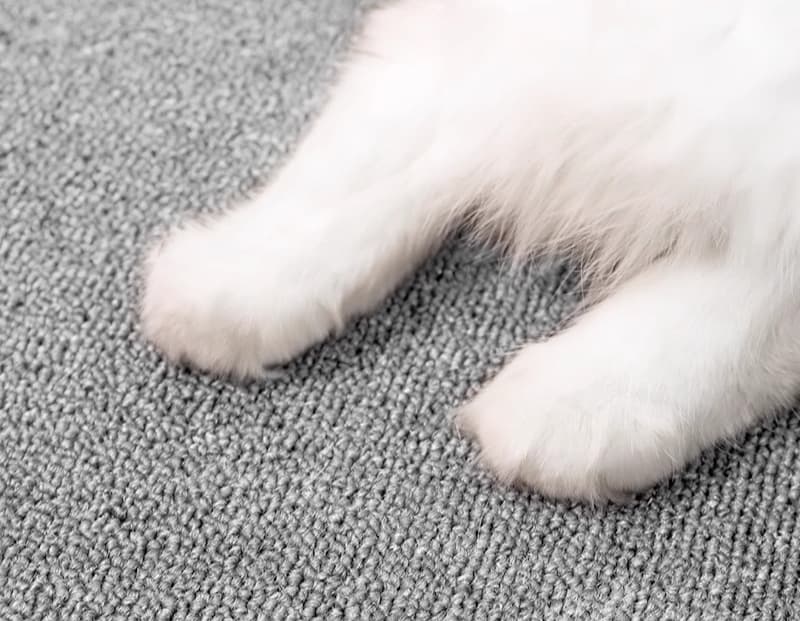 ペットマット 猫用多機能ラグマット