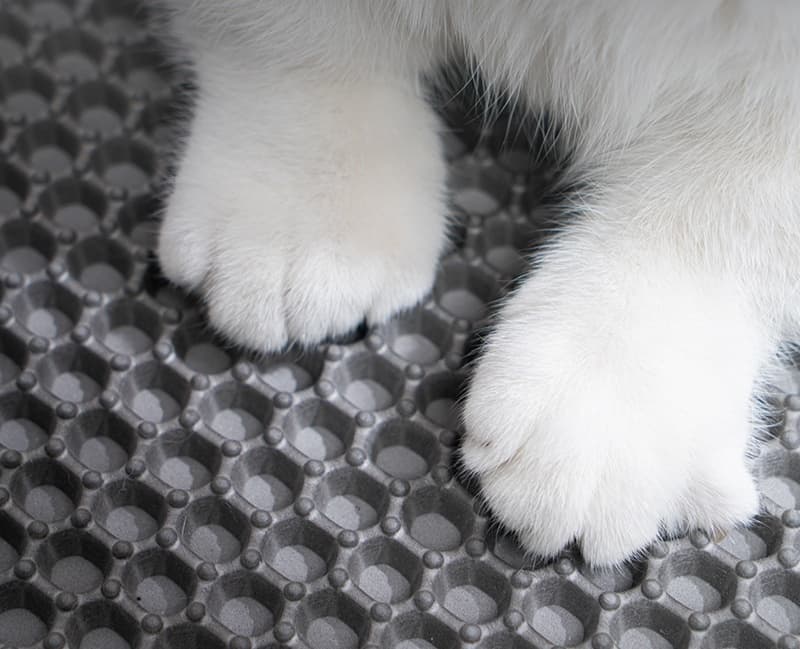 ペットマット 猫用 砂取りネット構造トイレマット