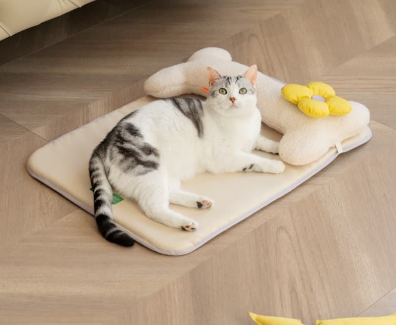 ペットマット 犬猫兼用 ふわもこ骨型マット
