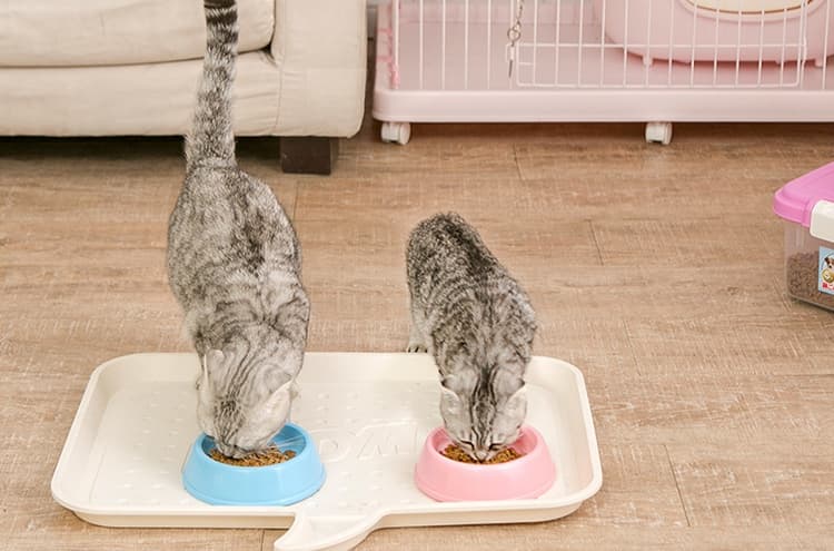 ペットマット 犬・猫兼用 ペット用こぼれにくい食事マット