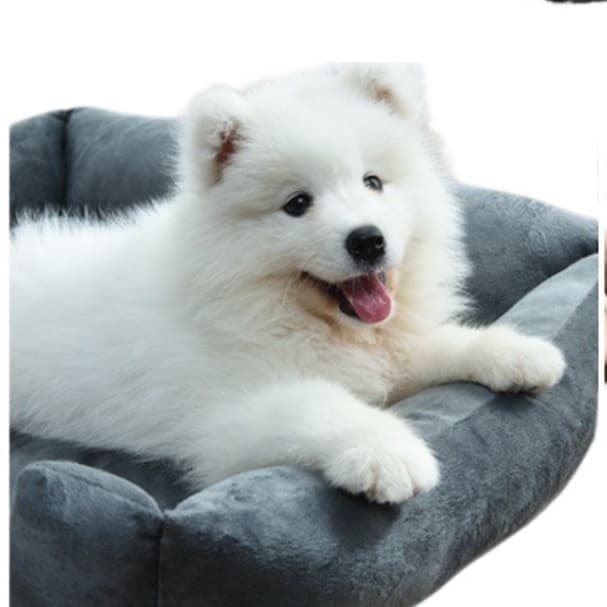 ペットマット 犬用 ふかふかリラックスベッド