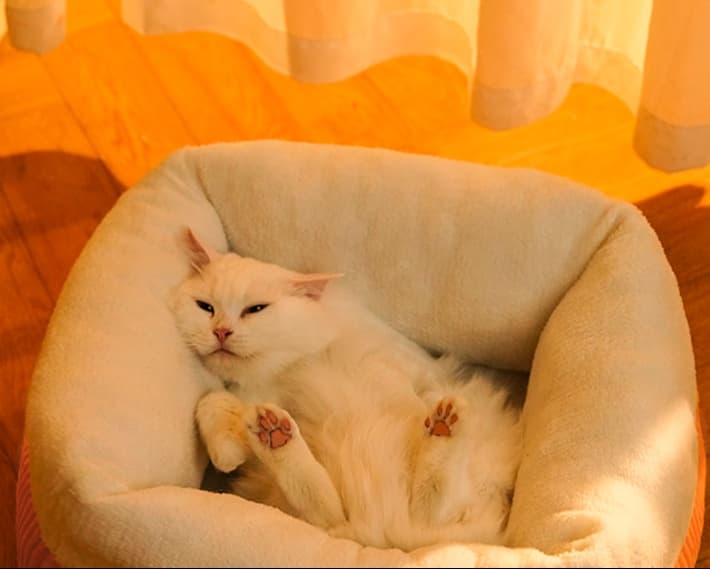 ペットマット 猫用 もふもふ安眠クッション