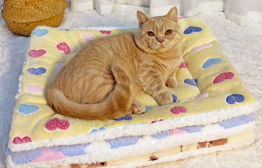 ペットマット 猫用 もこもこマット暖かい冬用お昼寝ラグ