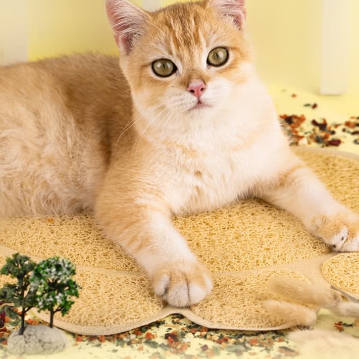 ペットマット 猫用 ふかふか砂取りマット