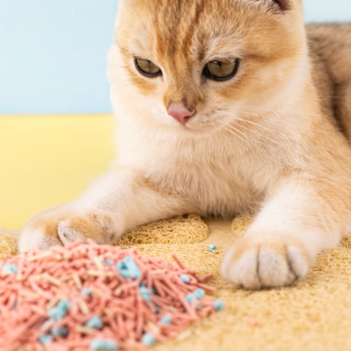 ペットマット 猫用 ふかふか砂取りマット
