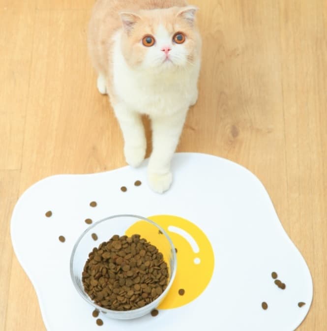 ペットマット 犬猫兼用 めだまやきデザイン食事マット