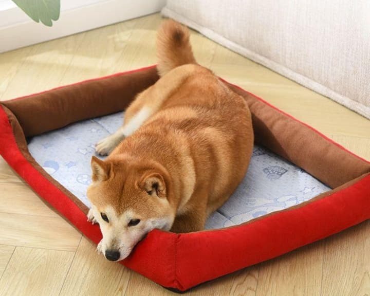 ペットマット 犬用 ワンちゃんの贅沢お昼寝マット