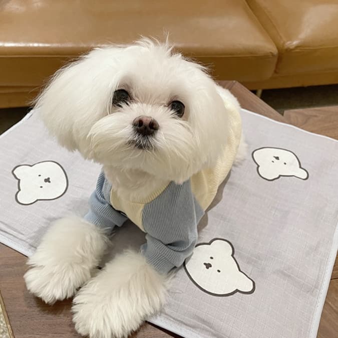 ペットマット 犬用 くまさんのほっこりマット