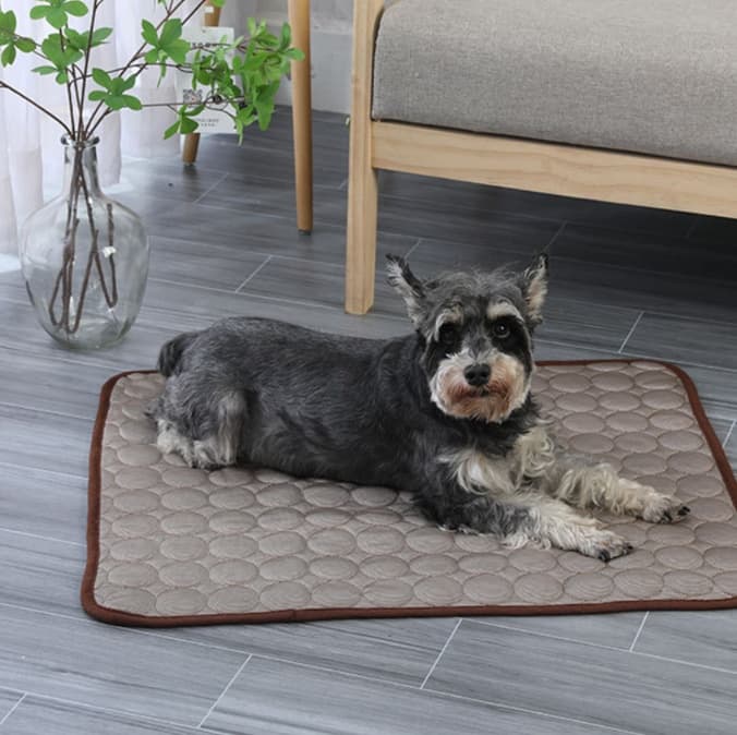 ペットマット 犬用 ひんやり冷感ラグマット