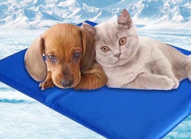 ペットマット 犬猫兼用 ひんやり快適 クールマット