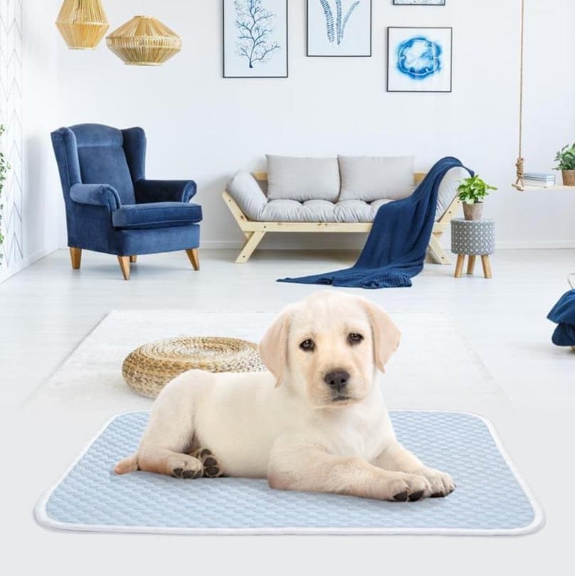 ペットマット 犬用 ひんやり快適マット