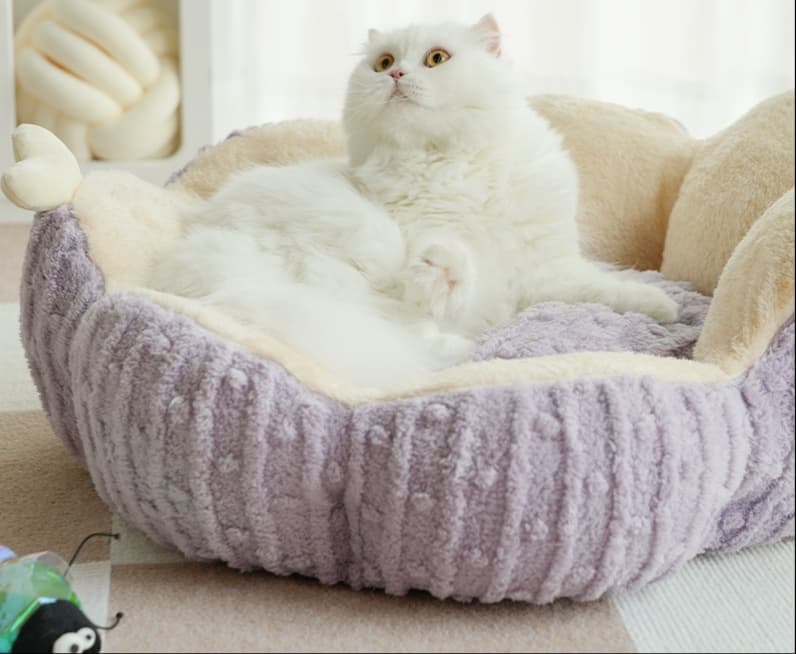 ペットマット 猫用 ふんわり仙人掌マット