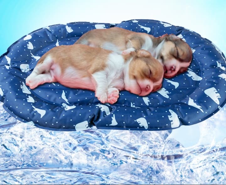 ペットマット 犬猫兼用 ひんやり快適クッション