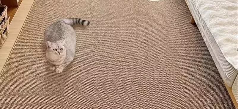 ペットマット 猫用 防音清潔さらふわマット
