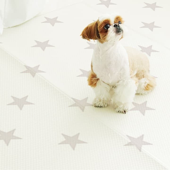 ペットマット 犬用 星空デザイン 防水マット