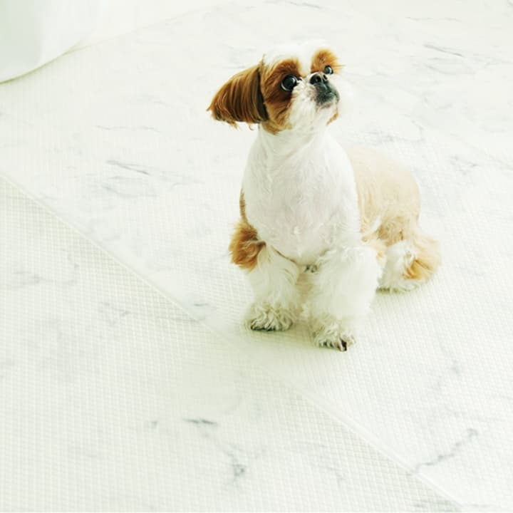 ペットマット 犬用 星空デザイン 防水マット