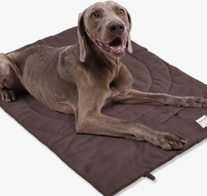 ペットマット 犬用 贅沢仕立ての癒やしマット