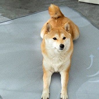 ペットマット ひんやり極上ペットマット