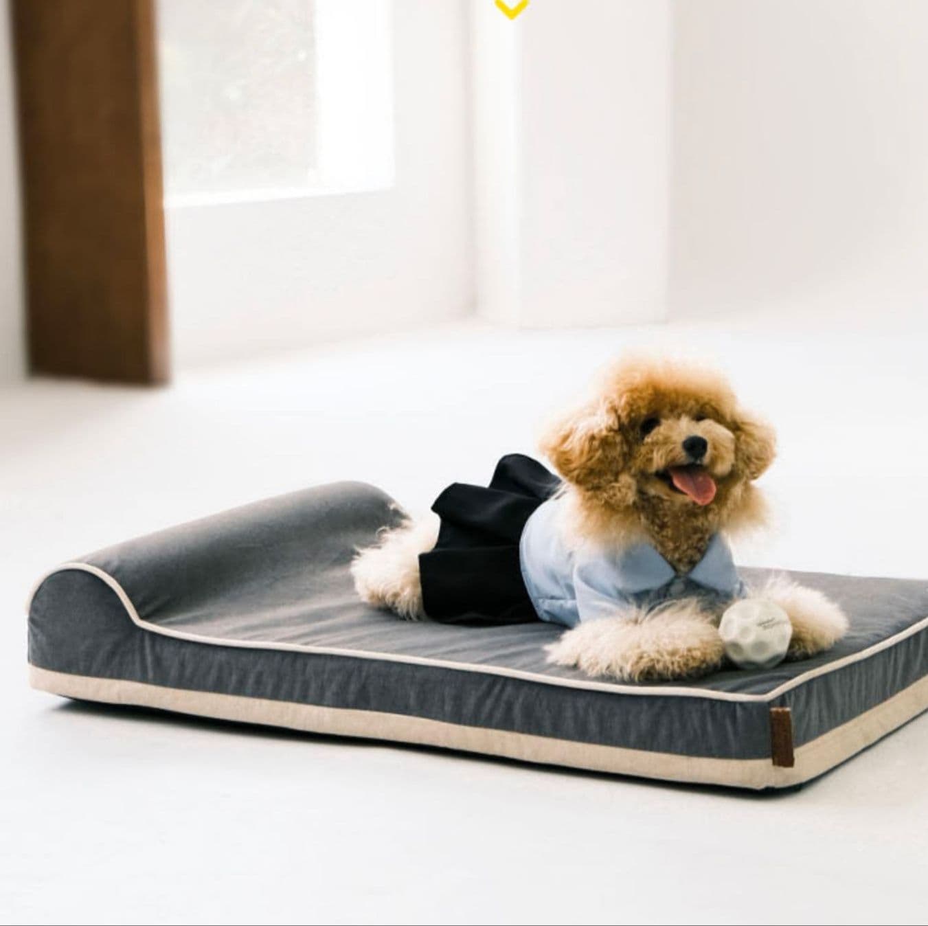 ペットマット 老犬快適安心マット