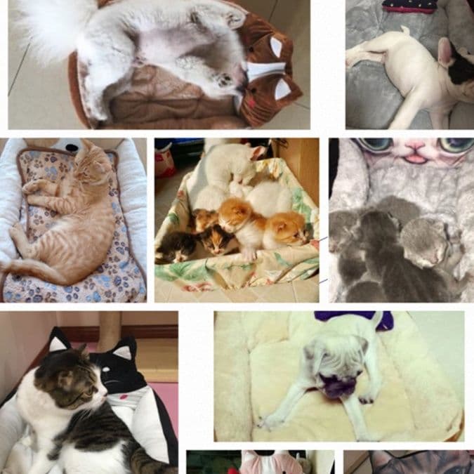 ペットマット もふもふ動物ベッド