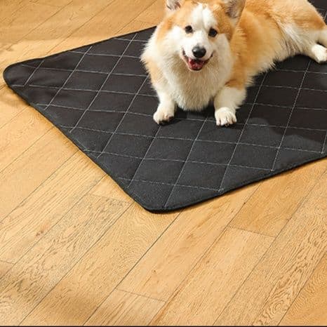 ペットマット 犬猫兼用 うるおい快適マット