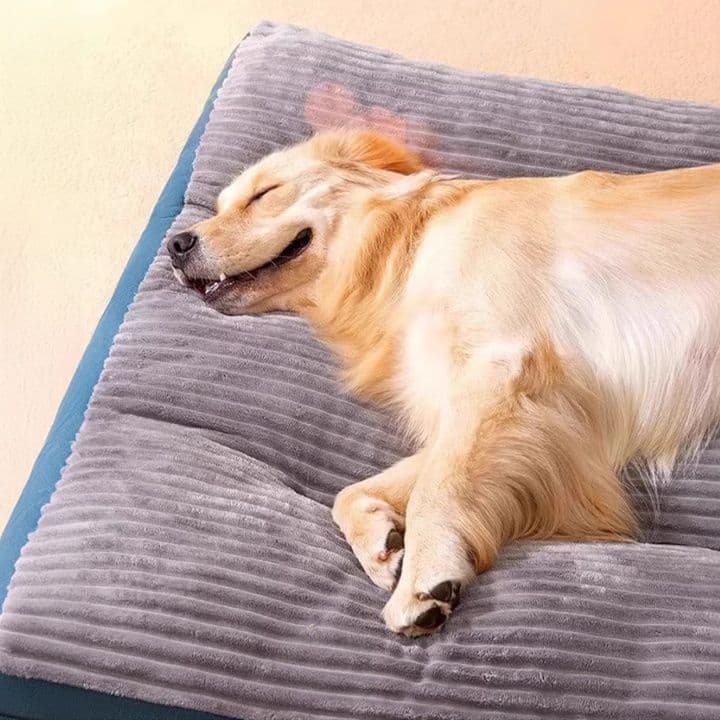 ペットマット 犬用 ふわもこ夢心地ベッド