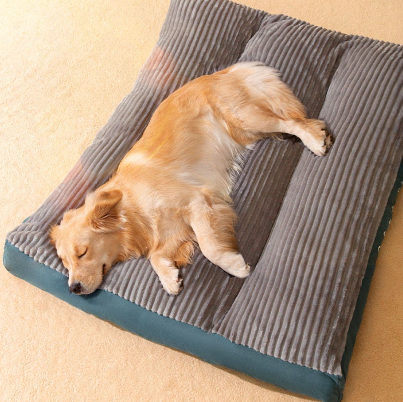 ペットマット 犬用 ふわもこ夢心地ベッド