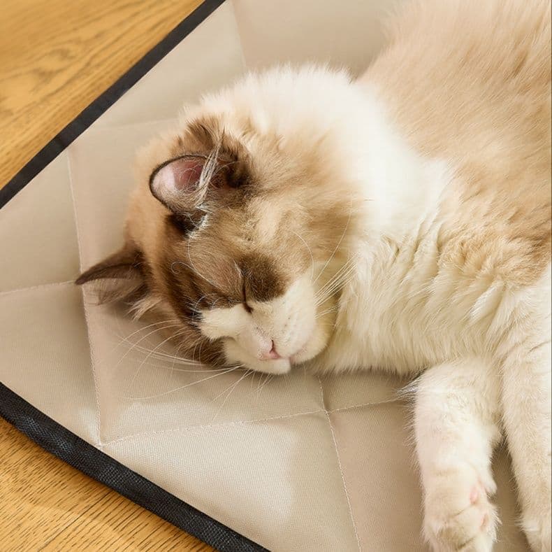 ペットマット 四季快眠ペットマット