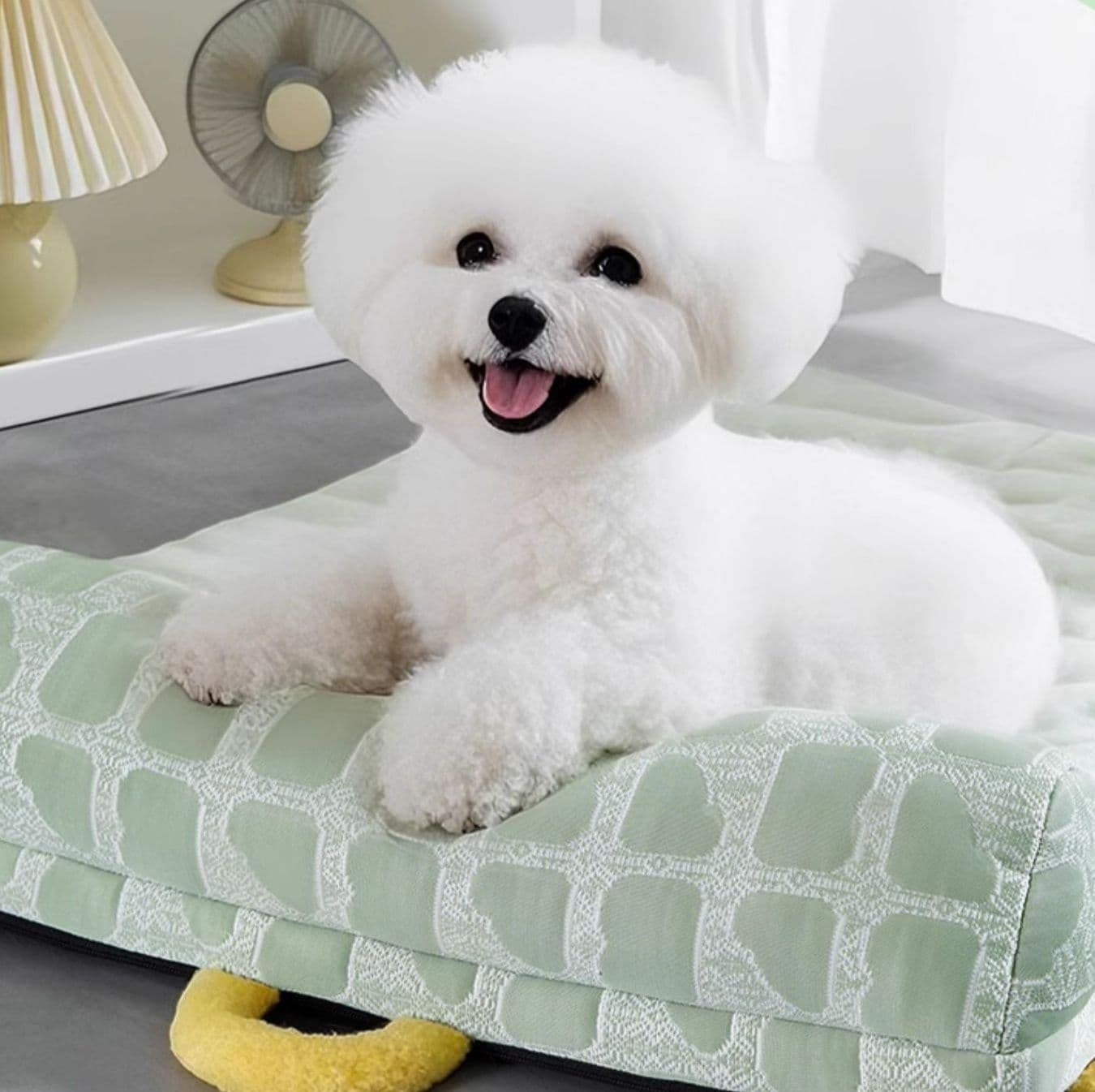ペットマット 犬用 ふわもち快眠マット