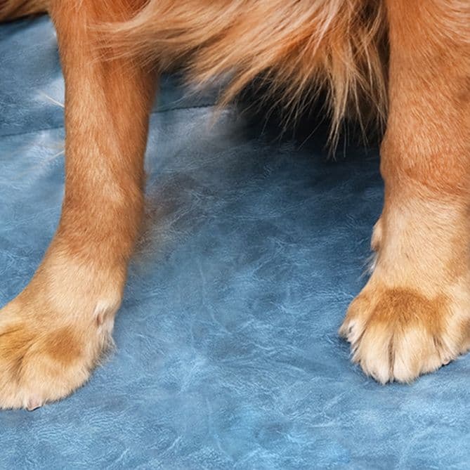 ペットマット 犬用 快適ドライブ専用車載防水保護シート