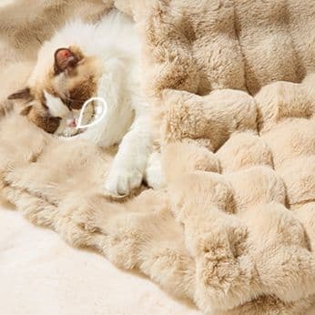 ペットマット 猫用 ふわふわ雲型もこもこ快眠敷布団