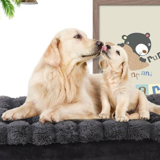 ペットマット 犬猫兼用 ふわふわ雲形縁取り寝床マット
