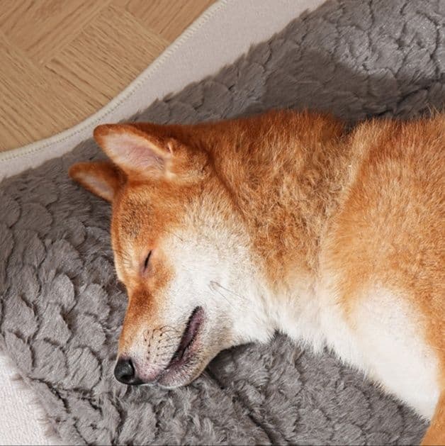 ペットマット 犬猫兼用 ふわふわ立体キルト仕様の多層構造ペットマット