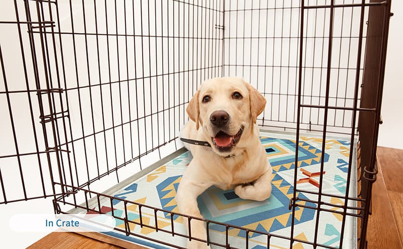 ペットマット 犬用 ひんやり快適マット夏仕様