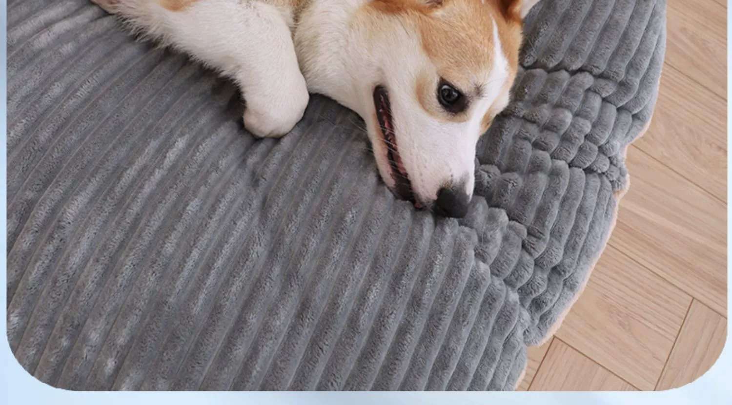 ペットマット 犬用 もこもこ寛ぎマット