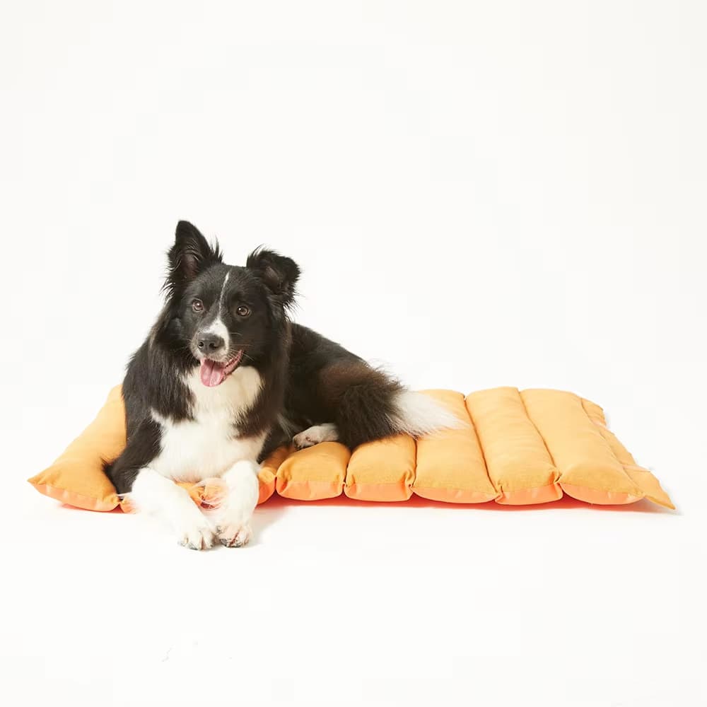 ペットマット ふんわりキルティング枕付き犬用休息マット