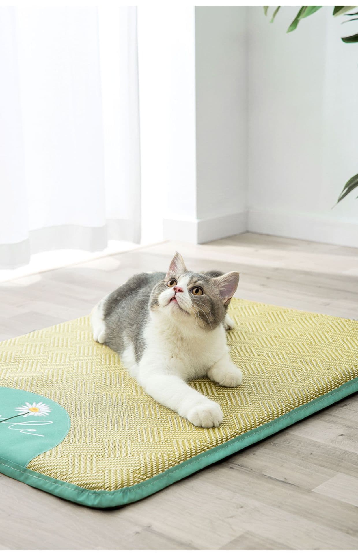 ペットマット 猫用 夏涼しい竹製ラグマット