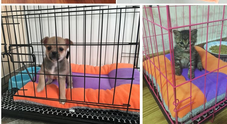 ペットマット 犬用 もこもこ贅沢マット