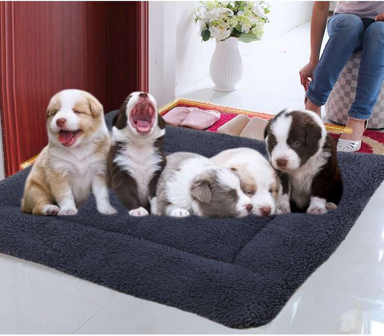 ペットマット 犬用 ふわもこ四季マット