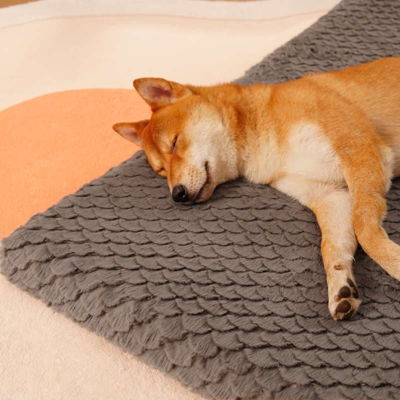 ペットマット 犬猫兼用 ふかふか快適ペットマット
