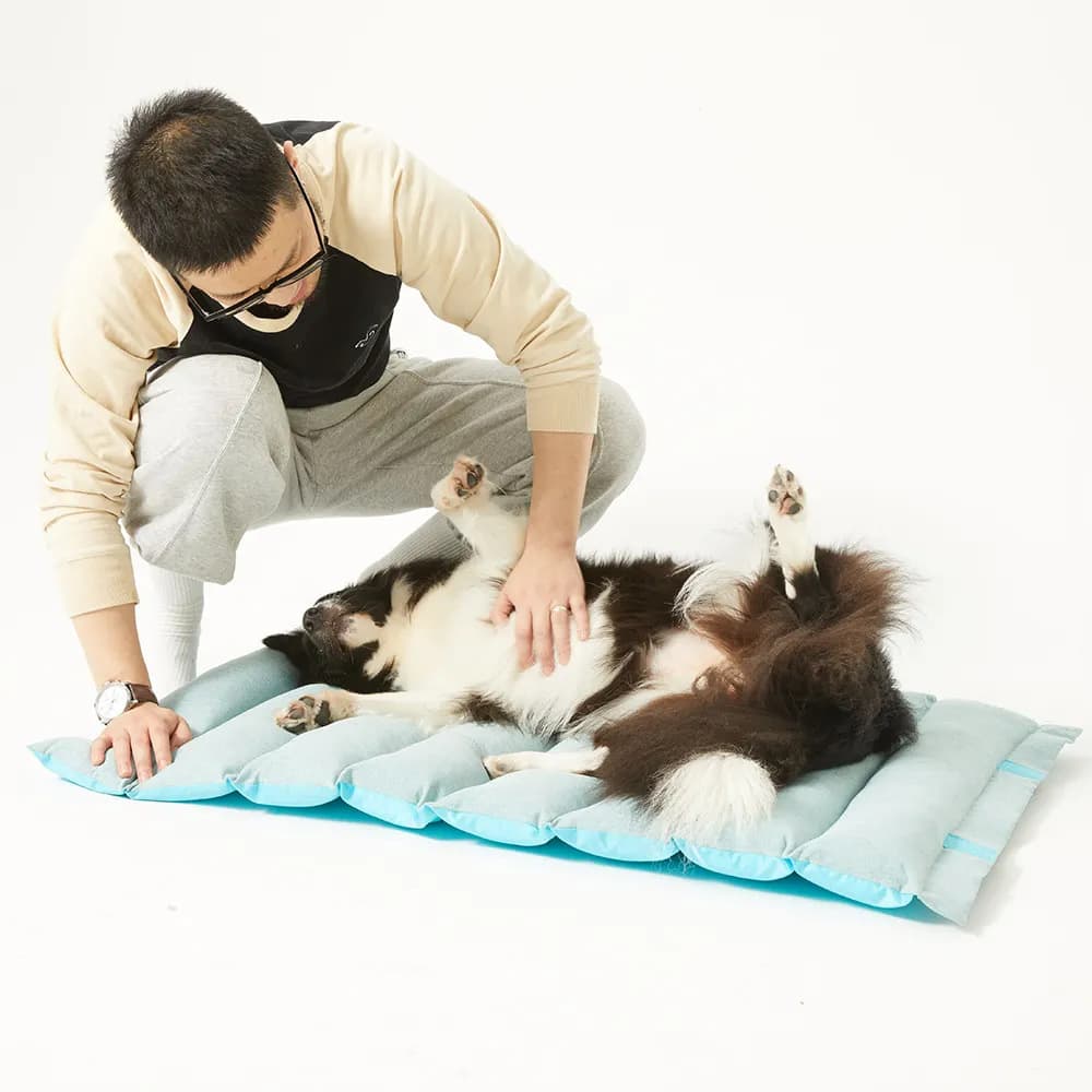 ペットマット ふんわりキルティング枕付き犬用休息マット