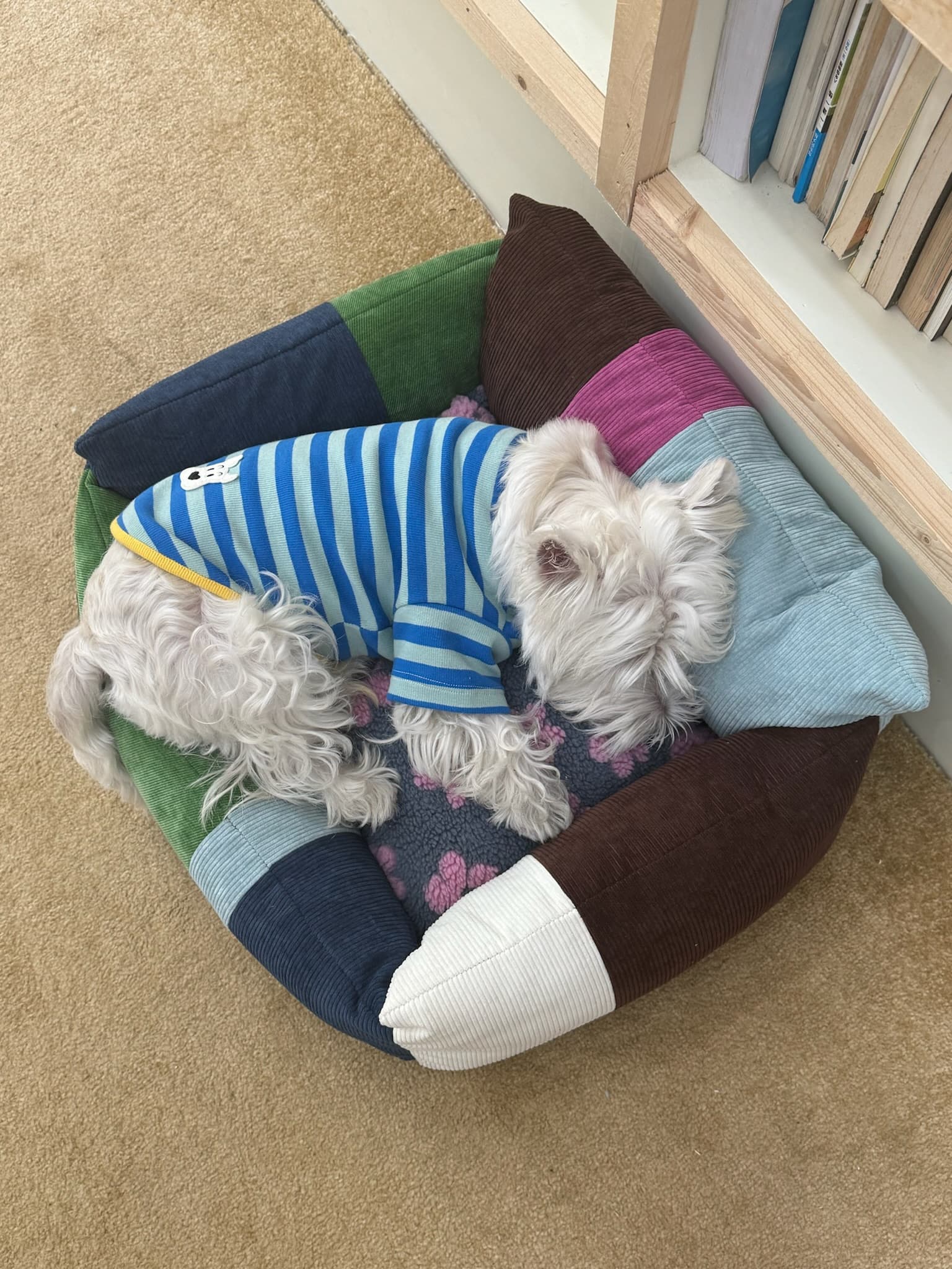 ペットマット 犬用 手作り風パッチワークくつろぎベッド
