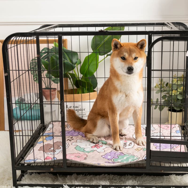 ペットマット 犬用 可愛い動物柄ふんわりマット
