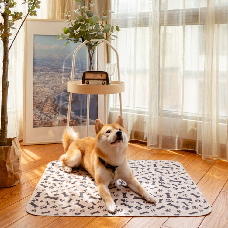 ペットマット 犬用 足跡と骨の可愛い模様入り快適敷きマット